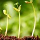 crowdfunding social
