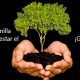 emporda crowdfunding