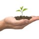crowdfunding startups