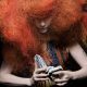 bjork crowdfunding