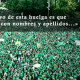 marea verde crowdfunding