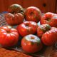 ecologia crowdfunding