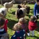 babalia educacion crowdfunding
